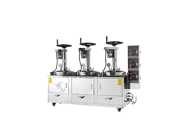 电动挤压煎药机ZHX-DC20C